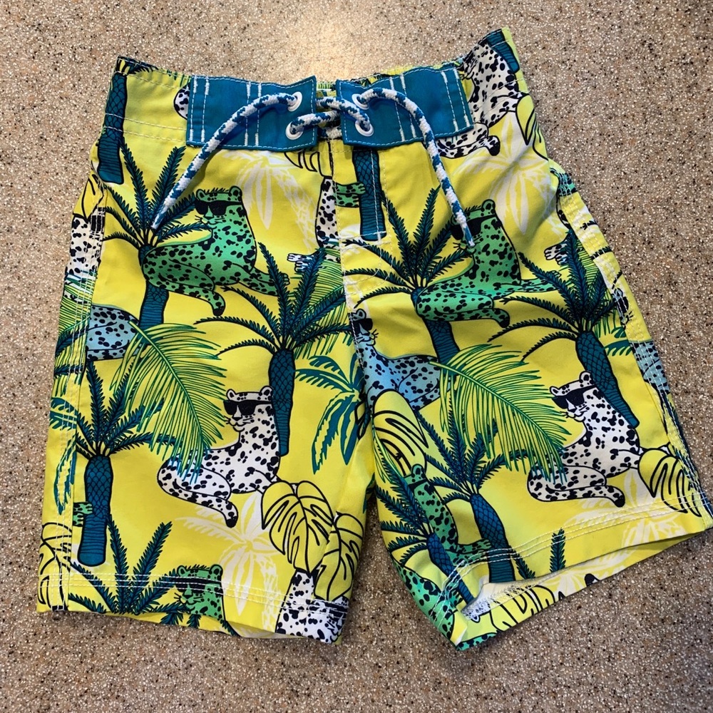 Gymboree Boys Swim Trunks